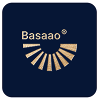 Basaao Navi Mumbai property advisory logo